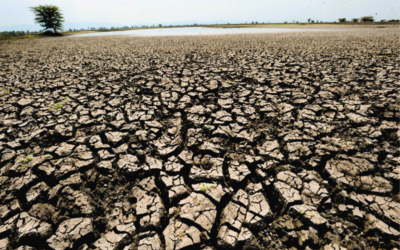 PUBLIC HEALTH SITUATION ANALYSIS: EL NIÑO, GLOBAL CLIMATE EVENT